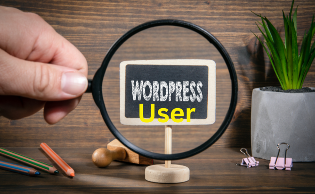 WordPress User